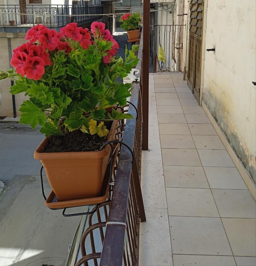 B&B La Casa Dell'Ospite Gravina in Puglia Exterior foto